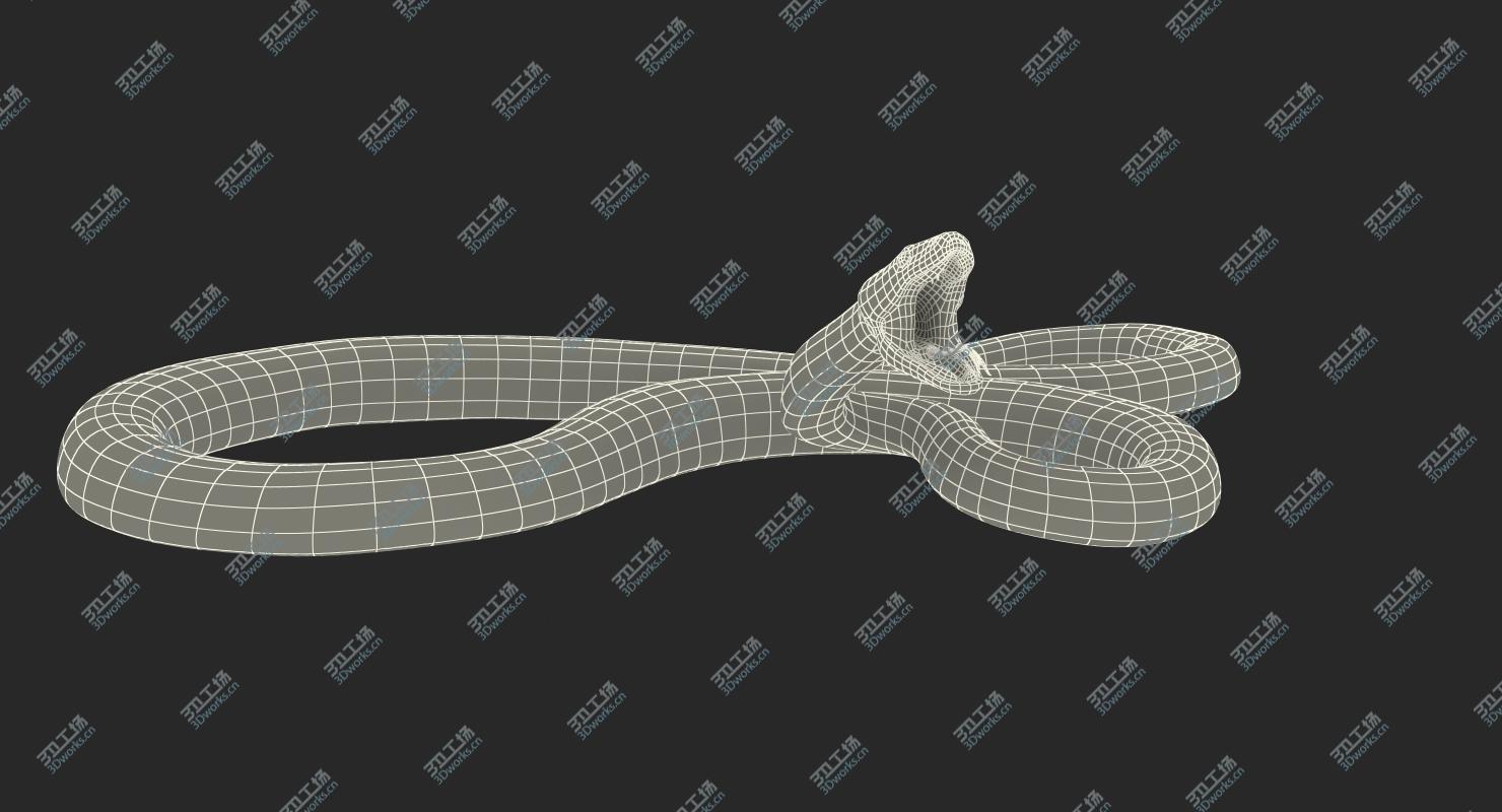 images/goods_img/202105073/3D Brown Python Snake Rigged 3D Model model/5.jpg
